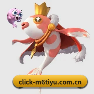 m6体育 APP